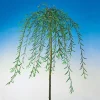 100-120 cm*Omnia Garden Outlet