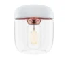 Acorn Vit*UMAGE Best