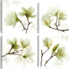 Admiration Of Magnolia*Arkiio Online
