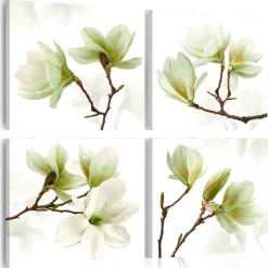 Admiration Of Magnolia*Arkiio Online