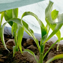 Agrimpex Agro-Marina 1,6x10 m Turkos*Jabo Sale