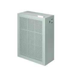 AP-1019C*Coway Clearance