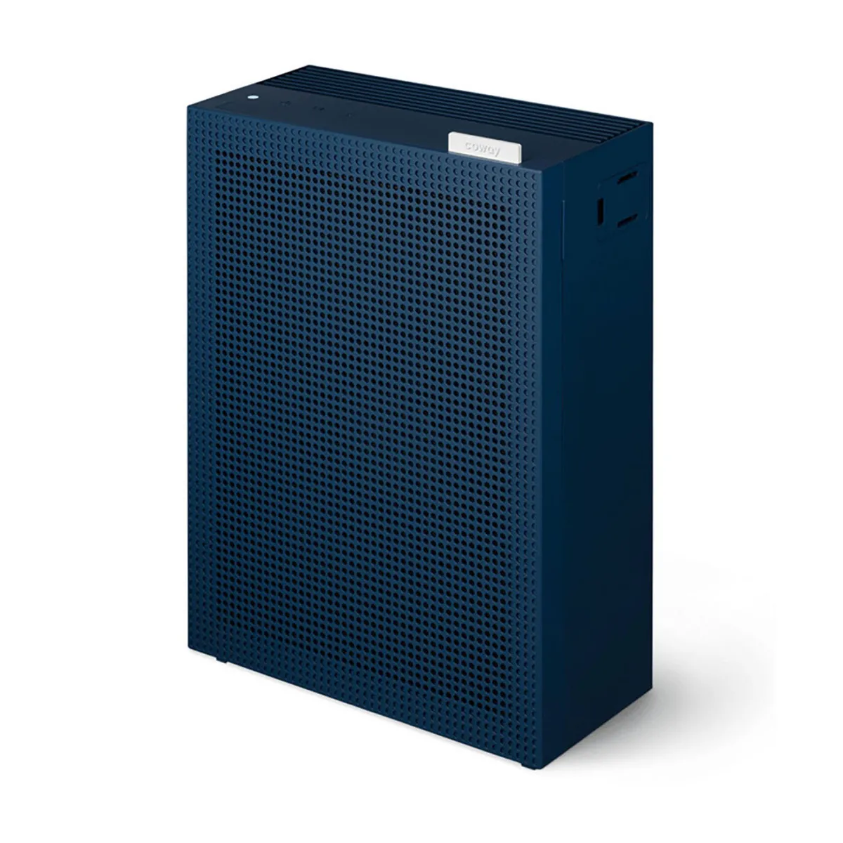 AP-1019C*Coway Clearance