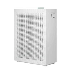 AP-1019C*Coway Clearance