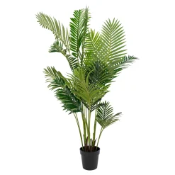Areca 175 cm*House Nordic Online