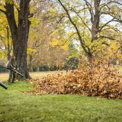 BR 800*Stihl Discount