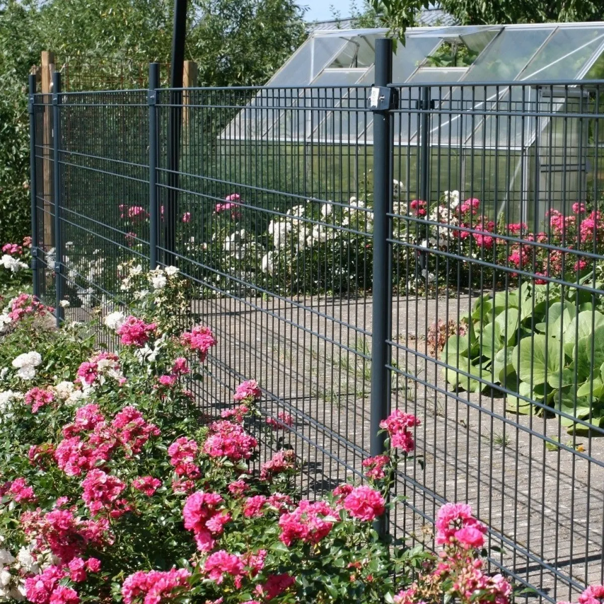 100 cm*Hortus New