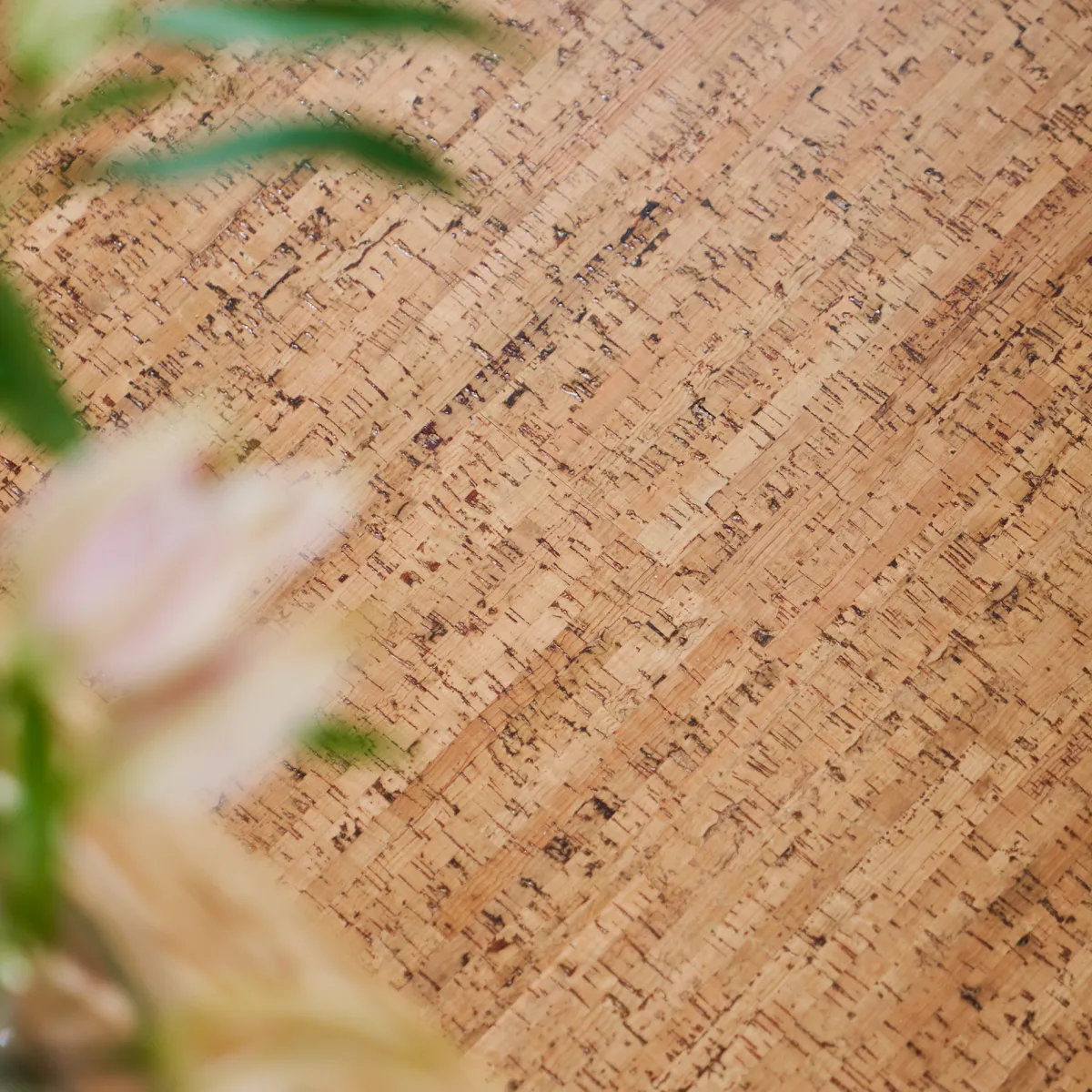 Cork Start- Traces Natural*Wicanders