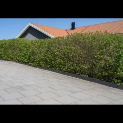 Corten 4-pack Gräskant, 110 cm*Skotte Garden Best