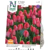 Darwinh Van Eijk*Nelson Garden Discount