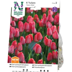 Darwinh Van Eijk*Nelson Garden Discount