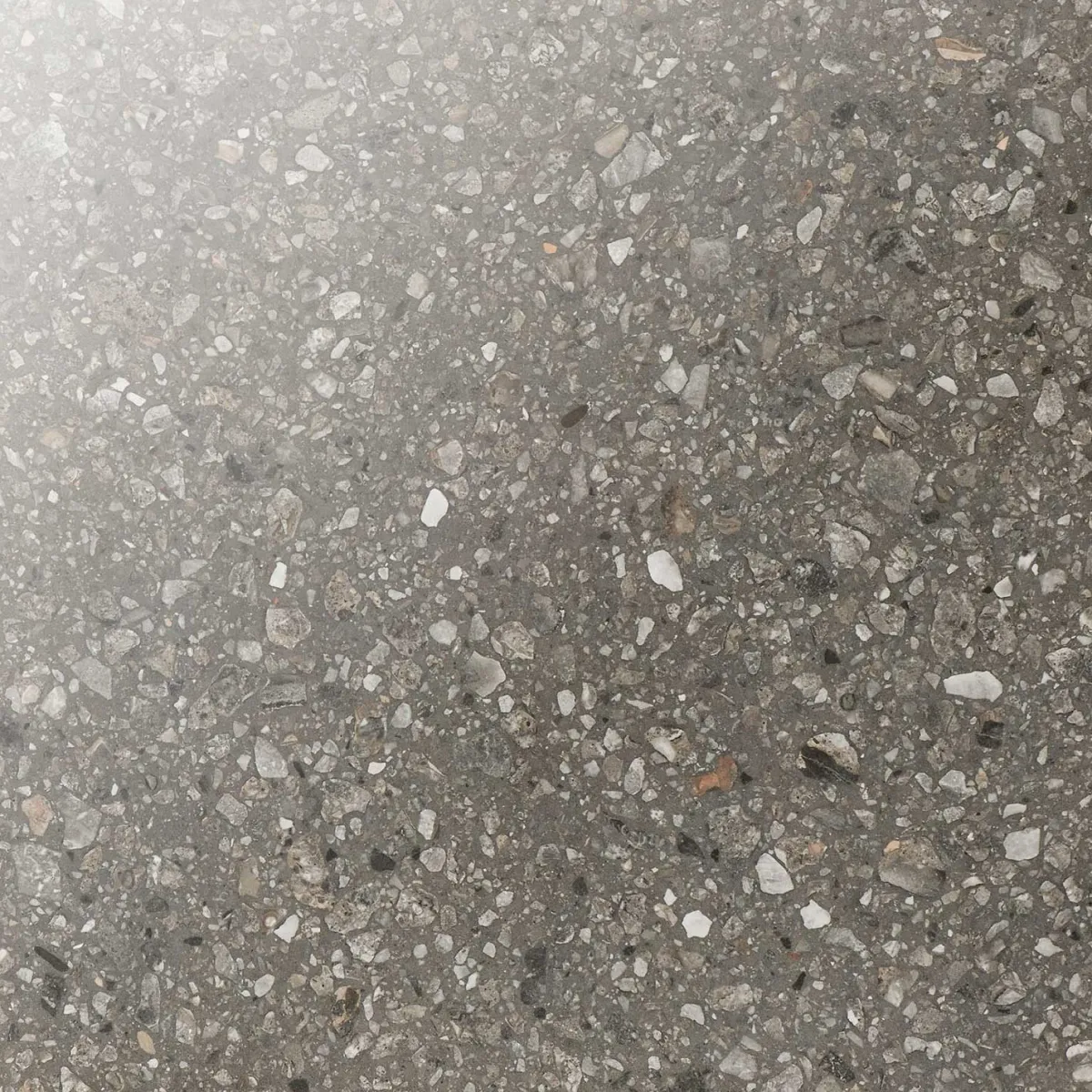 E66 Terrazzo San Polo Polished 60x60 cm*Bricmate Clearance