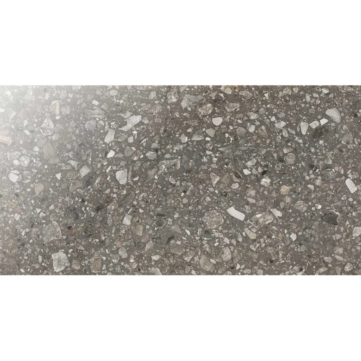 E36 Terrazzo San Polo Polished 30x60 cm*Bricmate Discount