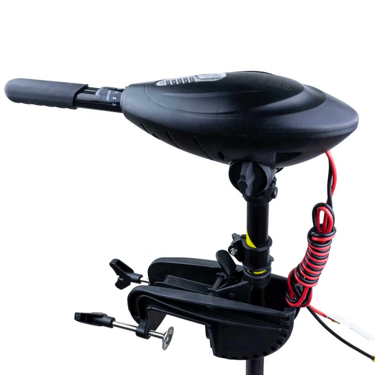 Elektrisk Cruise 55LBS
