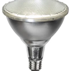 E27 PAR38 Spotlight Outdoor Silver*Star Trading Best