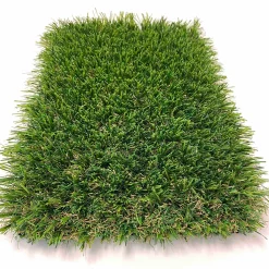 Excellence*ScanTurf New