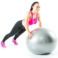 Exercise Ball*Gymstick Online