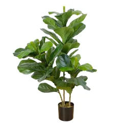 Fiddle-Leaf Fig*Lykke Online