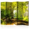 Forest Clearing II 225x172 cm*Arkiio Clearance