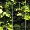 Galvaniserat*Hortus New