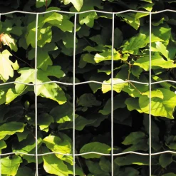 Galvaniserat*Hortus New