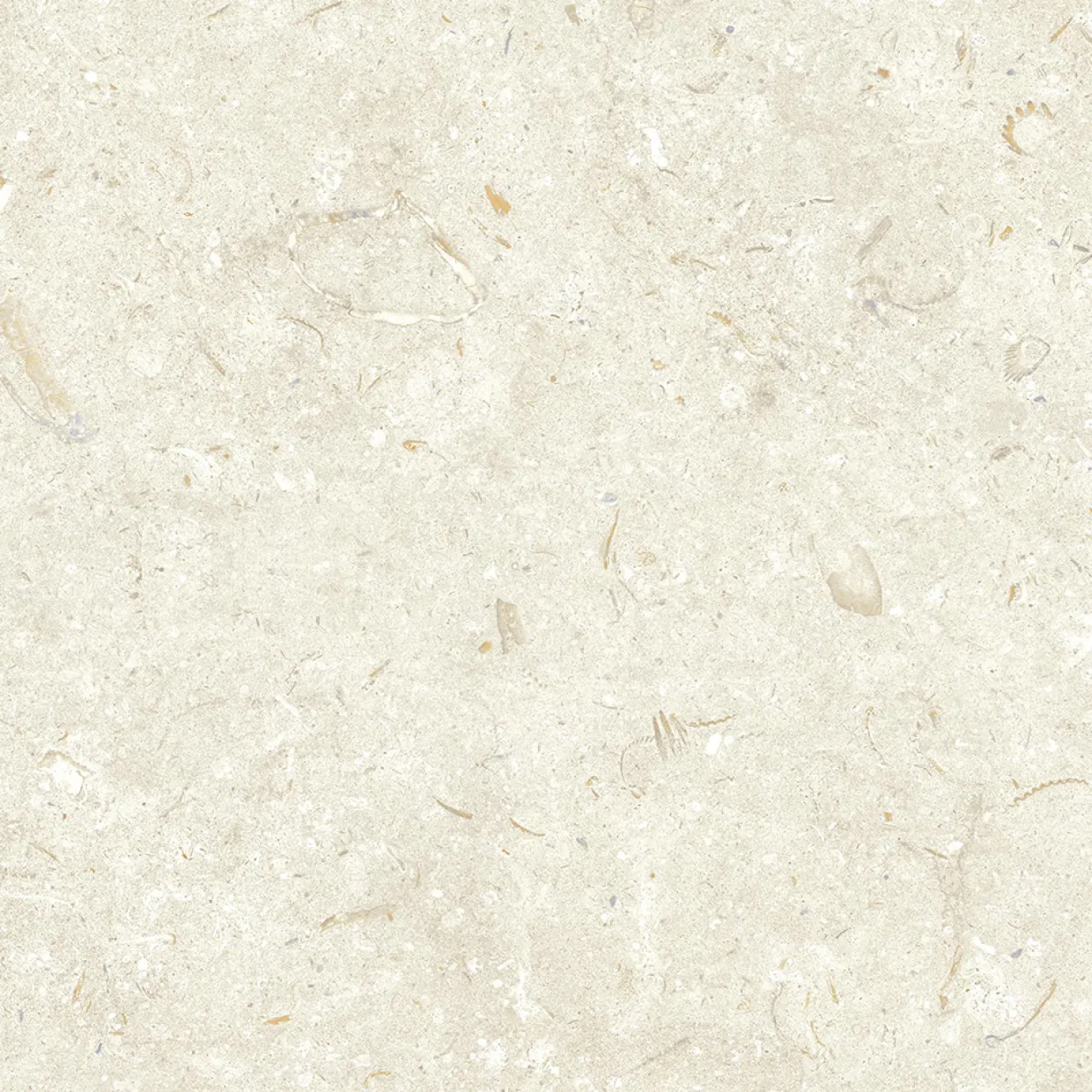 Gotlandssten Bone 60x60 cm