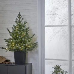 GranGreyland95 cm 80Lb*Star Trading Online