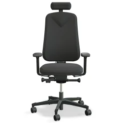 Höganäs 290 med Armstöd och Nackstöd*Lanab Group Clearance