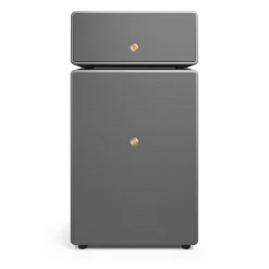 Högtalare Drumfire W Multiroom*Audio Pro Hot