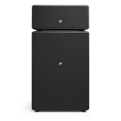 Högtalare Drumfire W Multiroom*Audio Pro Hot