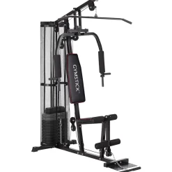 Home Gym 2*Gymstick Online