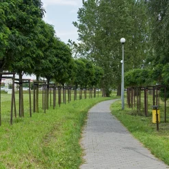 Klotrobinia*Omnia Garden