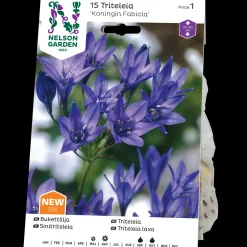 Koningin Fabiola*Nelson Garden New
