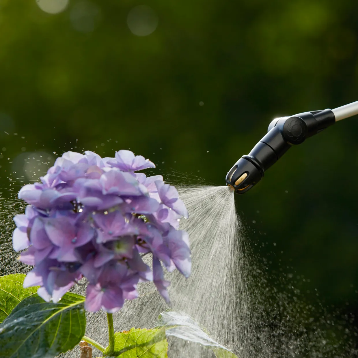 5L EasyPump
