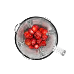 1,5L 600W Glaskanna BL310 Rostfri*Champion Clearance