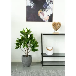 Magnolia*House Nordic Best