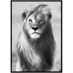 Majestic Lion*Gallerix New