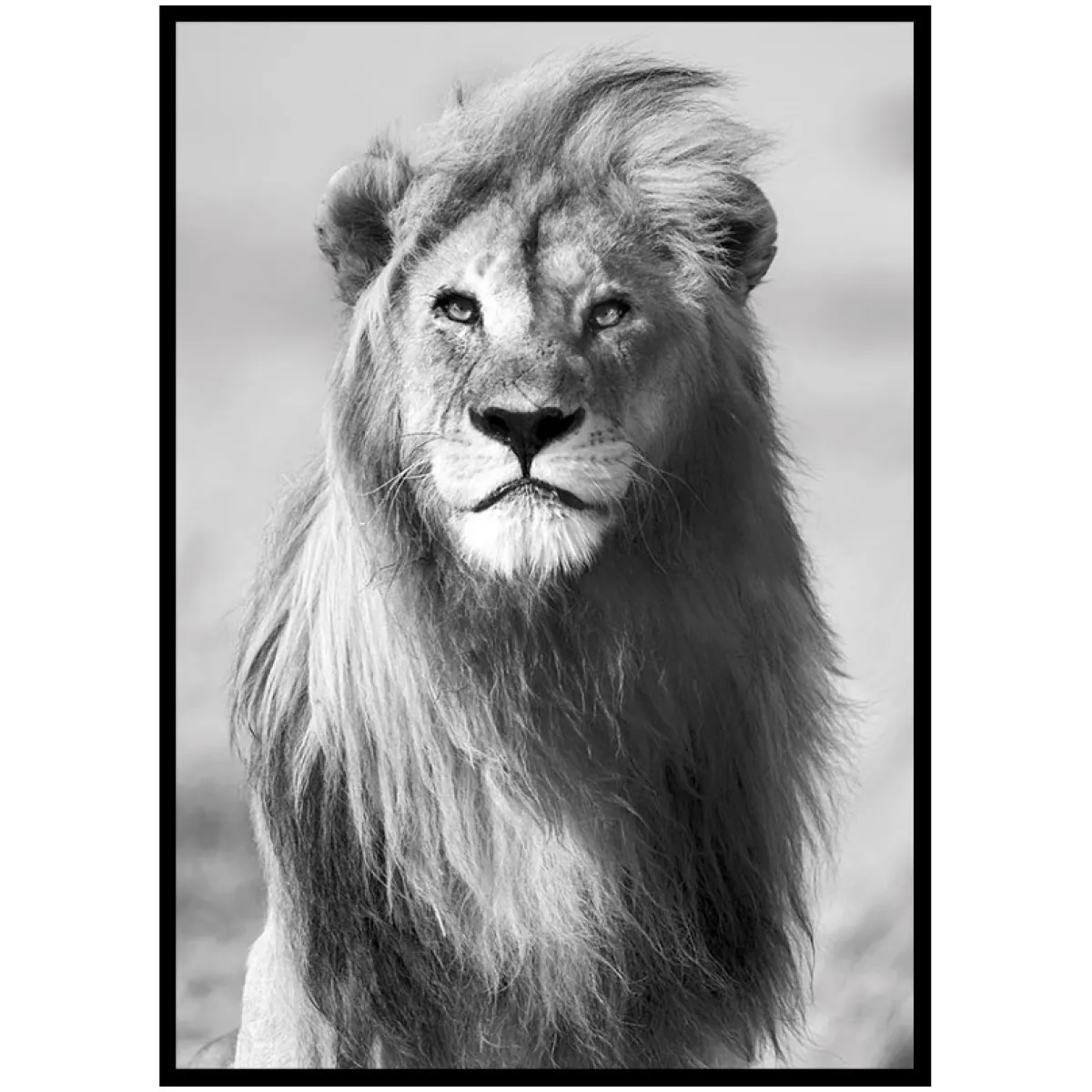 Majestic Lion*Gallerix New