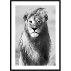 Majestic Lion*Gallerix New