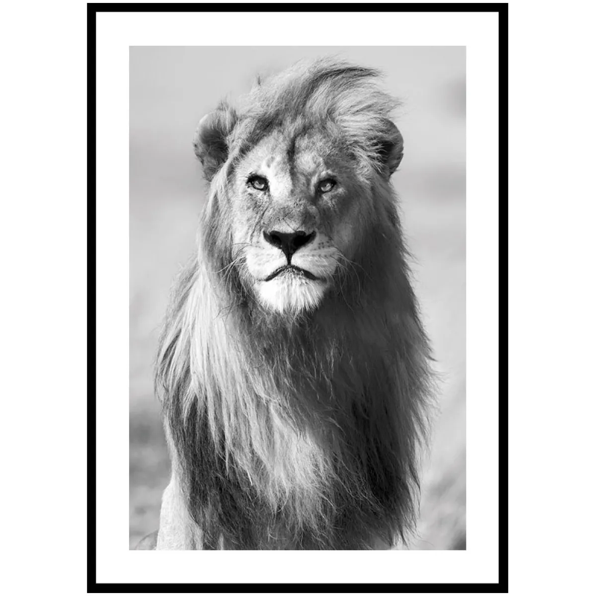 Majestic Lion*Gallerix New