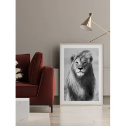 Majestic Lion*Gallerix New