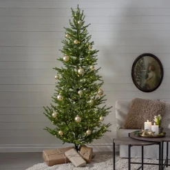 Malung med LED-belysning 200 cm*Star Trading New