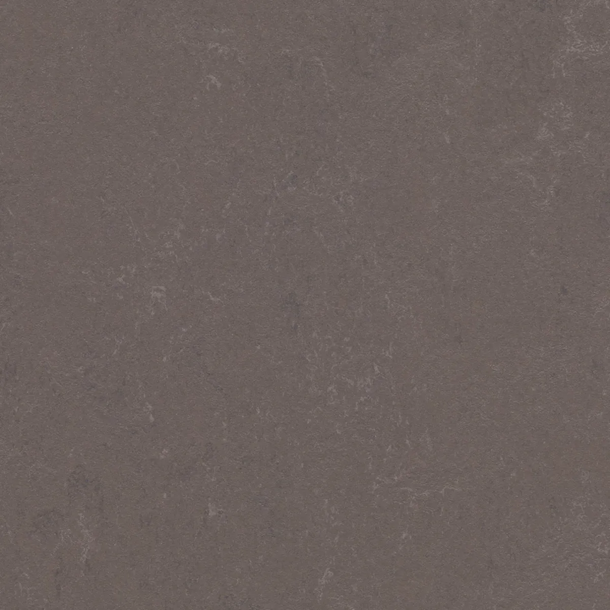 Marmoleum Modular Delta Lace*Forbo Discount
