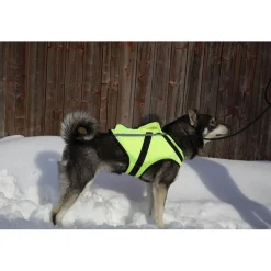 med GPS Stl XL*Nordicdog New