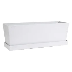 Michelangelo 50x15 Vit Till Krukor*GreenLine Online