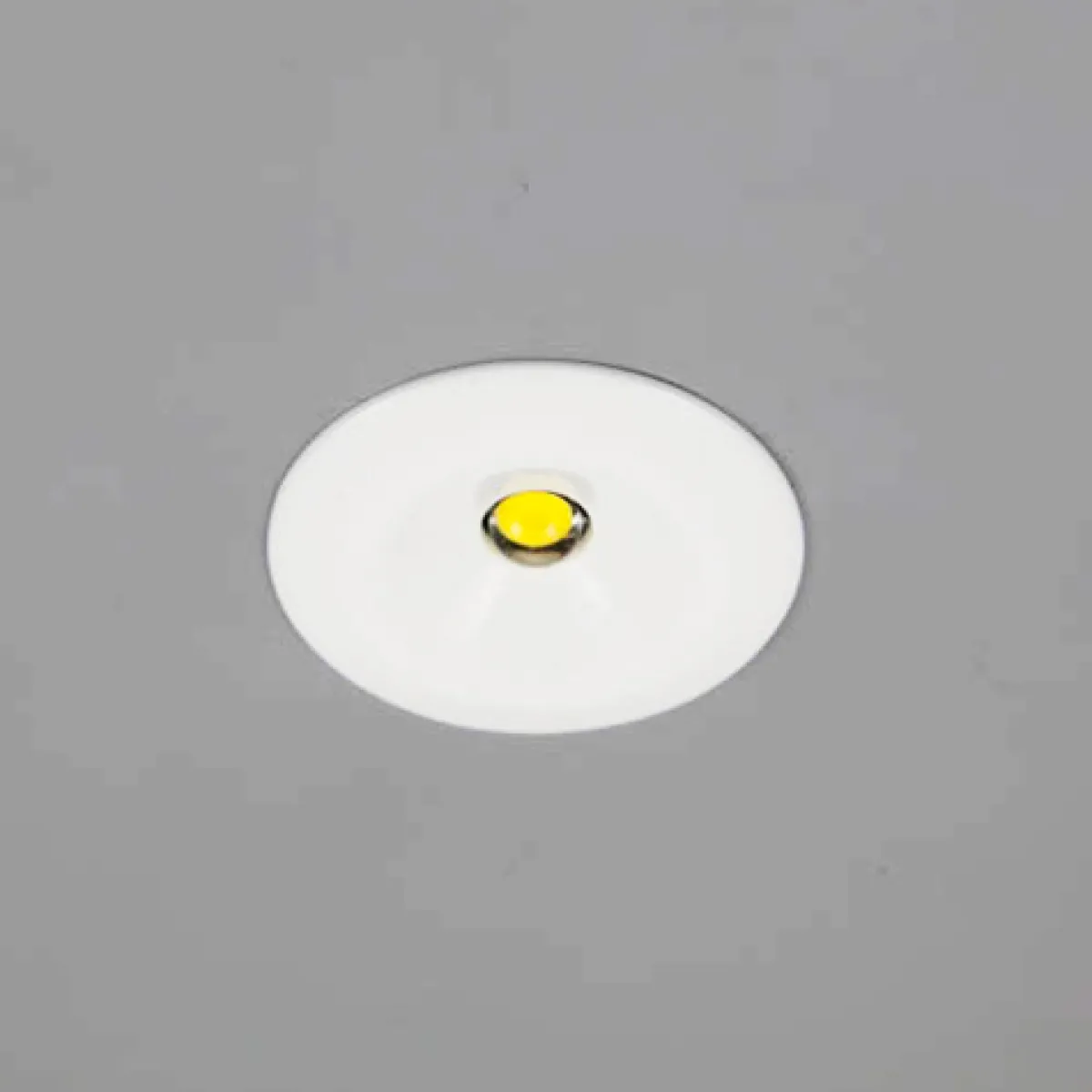 Mini*Hide-a-lite Sale