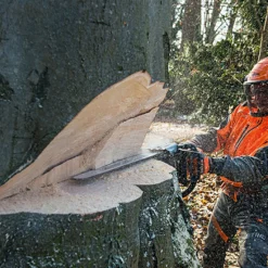 MS 661 C-M*Stihl Sale