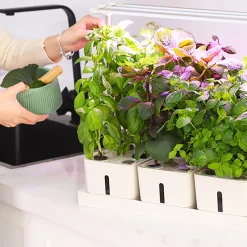 Odlingslådor Med Växtlampa & Startkit för Hemmaodling*RobotGarden Discount