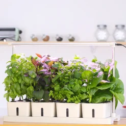 Odlingslådor Med Växtlampa & Startkit för Hemmaodling*RobotGarden Discount