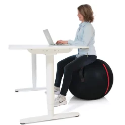 Office Ball*Gymstick Best